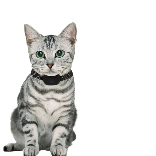 Never-Lost Pet Tracker